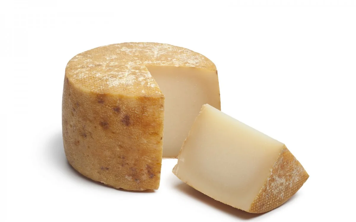 pecorino cheese